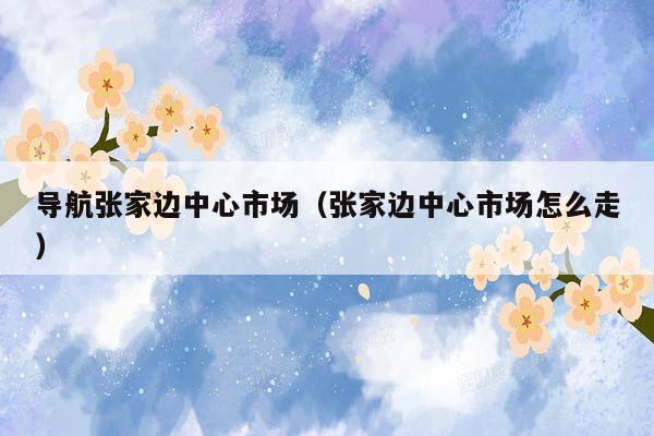 导航张家边中心市场（张家边中心市场怎么走）