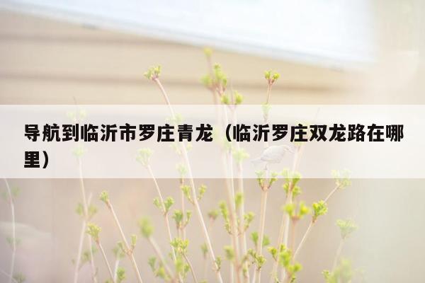 导航到临沂市罗庄青龙（临沂罗庄双龙路在哪里）
