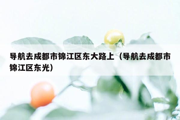 导航去成都市锦江区东大路上（导航去成都市锦江区东光）