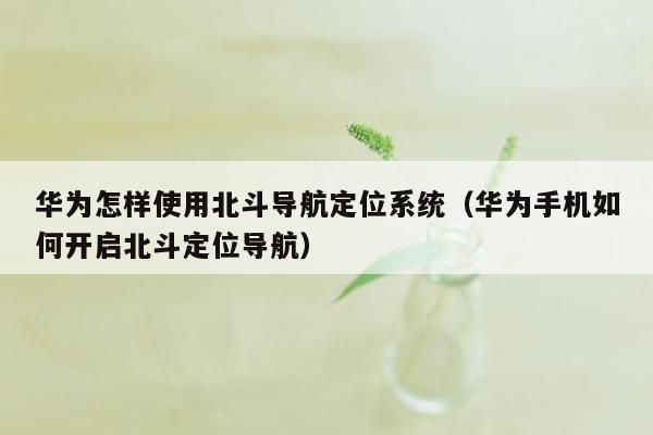 华为怎样使用北斗导航定位系统（华为手机如何开启北斗定位导航）