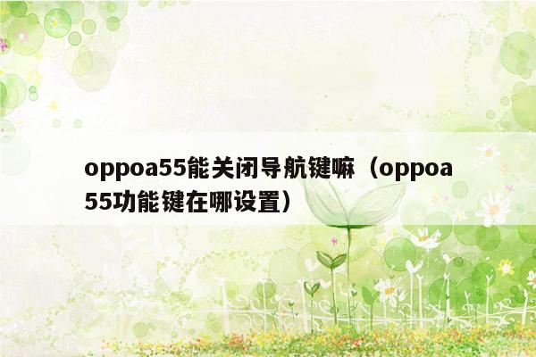 oppoa55能关闭导航键嘛（oppoa55功能键在哪设置）