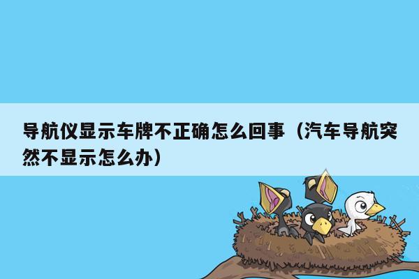 导航仪显示车牌不正确怎么回事（汽车导航突然不显示怎么办）