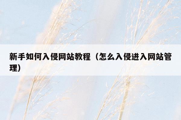 新手如何入侵网站教程（怎么入侵进入网站管理）