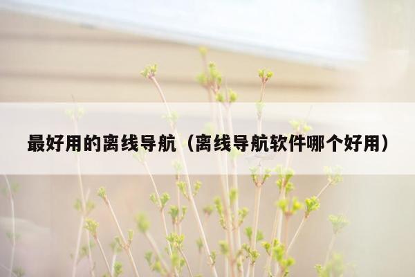 最好用的离线导航（离线导航软件哪个好用）