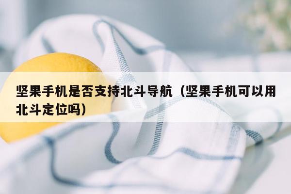 坚果手机是否支持北斗导航（坚果手机可以用北斗定位吗）