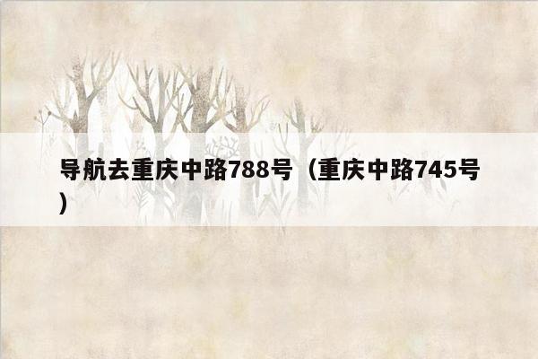 导航去重庆中路788号（重庆中路745号）