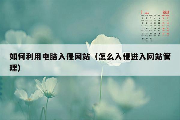 如何利用电脑入侵网站（怎么入侵进入网站管理）