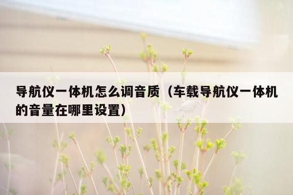 导航仪一体机怎么调音质（车载导航仪一体机的音量在哪里设置）