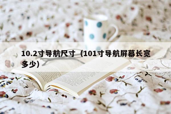 10.2寸导航尺寸（101寸导航屏幕长宽多少）