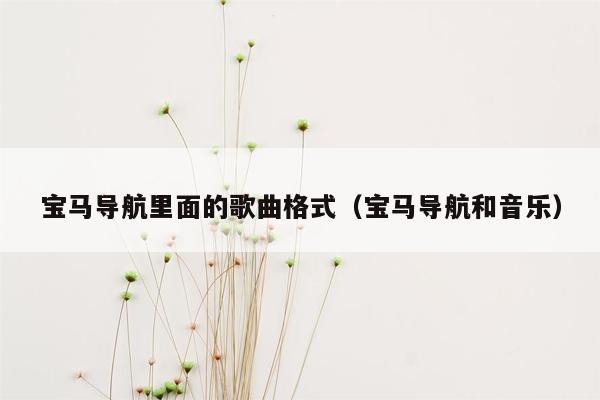 宝马导航里面的歌曲格式（宝马导航和音乐）