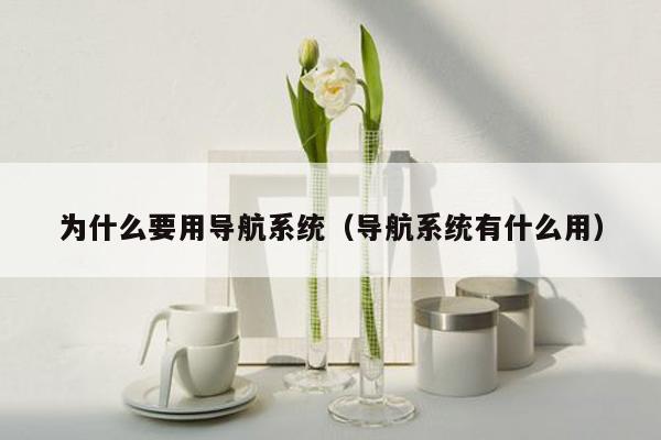 为什么要用导航系统（导航系统有什么用）