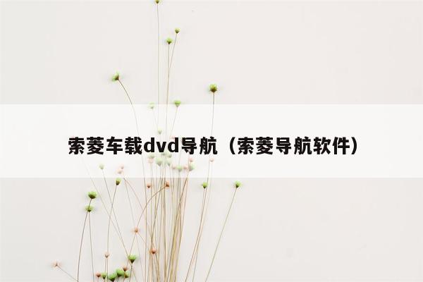 索菱车载dvd导航（索菱导航软件）