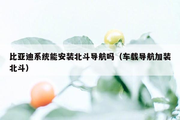 比亚迪系统能安装北斗导航吗（车载导航加装北斗）