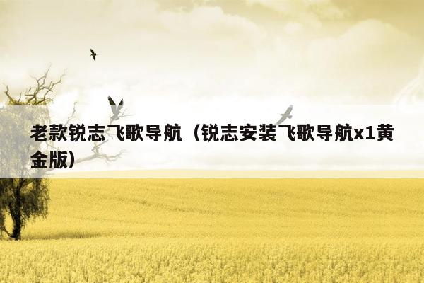 老款锐志飞歌导航（锐志安装飞歌导航x1黄金版）
