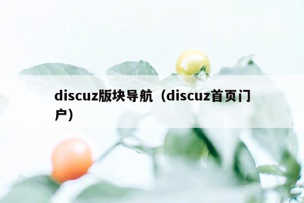 discuz版块导航（discuz首页门户）