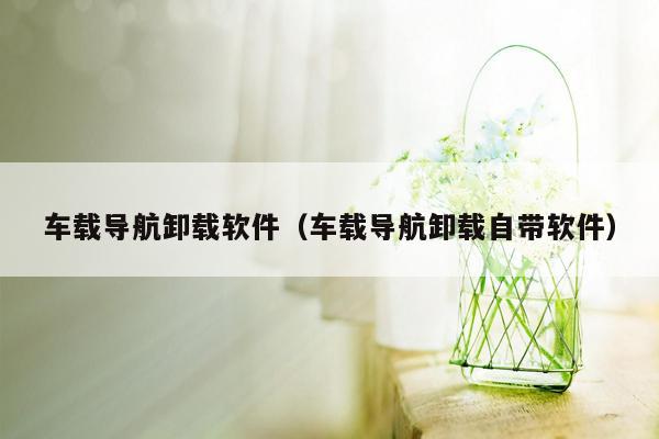 车载导航卸载软件（车载导航卸载自带软件）