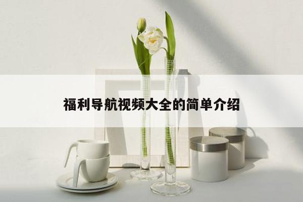 福利导航视频大全的简单介绍