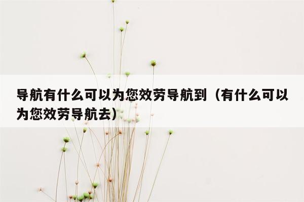 导航有什么可以为您效劳导航到（有什么可以为您效劳导航去）