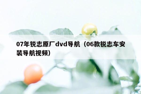 07年锐志原厂dvd导航（06款锐志车安装导航视频）