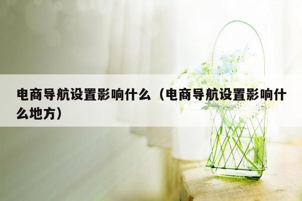 电商导航设置影响什么（电商导航设置影响什么地方）