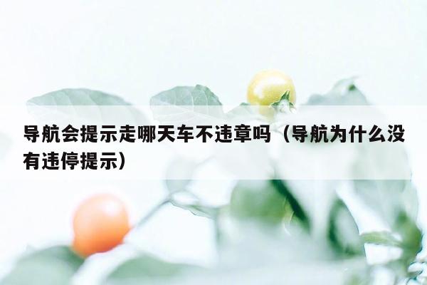 导航会提示走哪天车不违章吗（导航为什么没有违停提示）