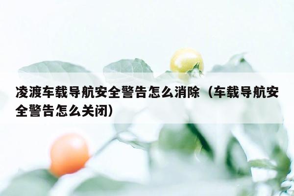 凌渡车载导航安全警告怎么消除（车载导航安全警告怎么关闭）