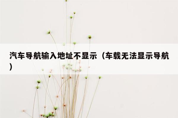 汽车导航输入地址不显示（车载无法显示导航）