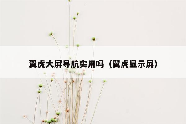 翼虎大屏导航实用吗（翼虎显示屏）