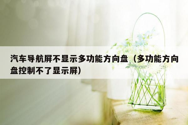 汽车导航屏不显示多功能方向盘（多功能方向盘控制不了显示屏）