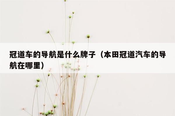 冠道车的导航是什么牌子（本田冠道汽车的导航在哪里）