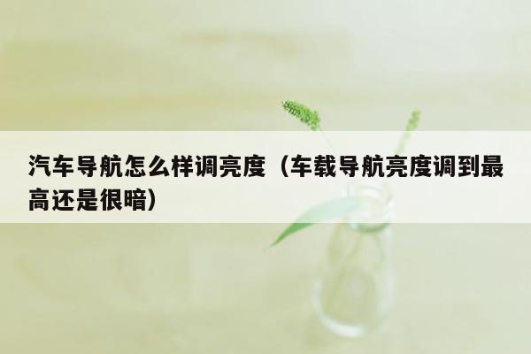 汽车导航怎么样调亮度（车载导航亮度调到最高还是很暗）