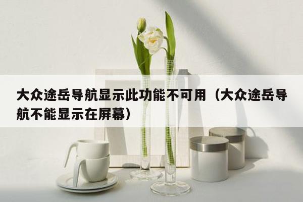 大众途岳导航显示此功能不可用（大众途岳导航不能显示在屏幕）