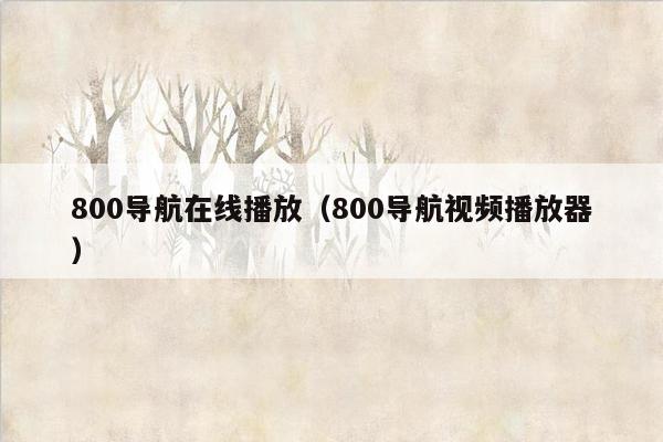 800导航在线播放（800导航视频播放器）