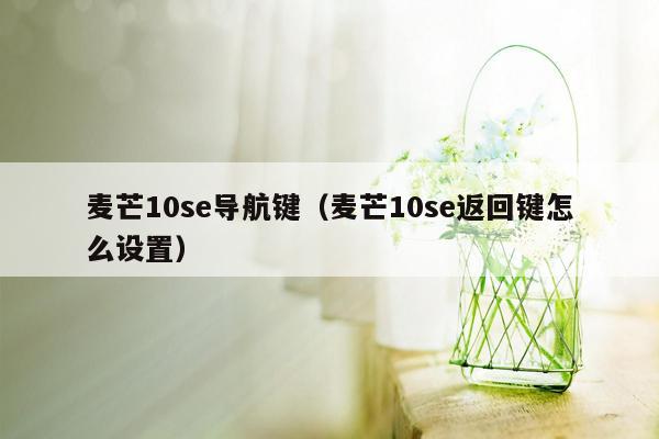 麦芒10se导航键（麦芒10se返回键怎么设置）