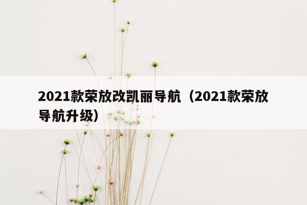 2021款荣放改凯丽导航（2021款荣放导航升级）