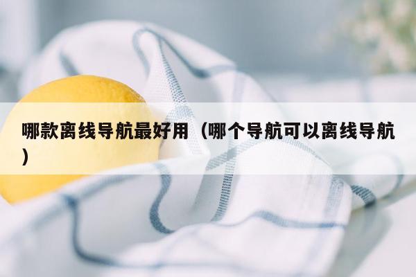 哪款离线导航最好用（哪个导航可以离线导航）