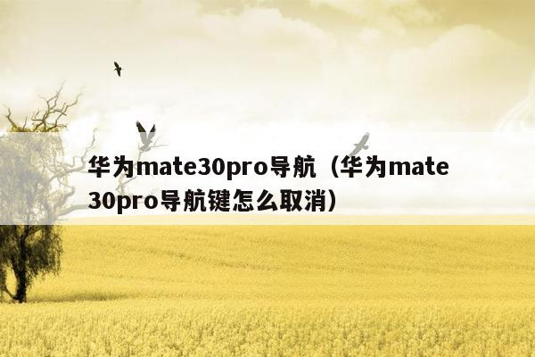 华为mate30pro导航（华为mate30pro导航键怎么取消）