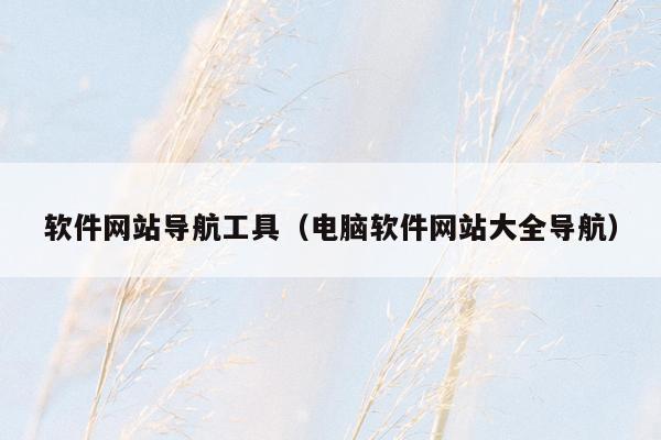 软件网站导航工具（电脑软件网站大全导航）
