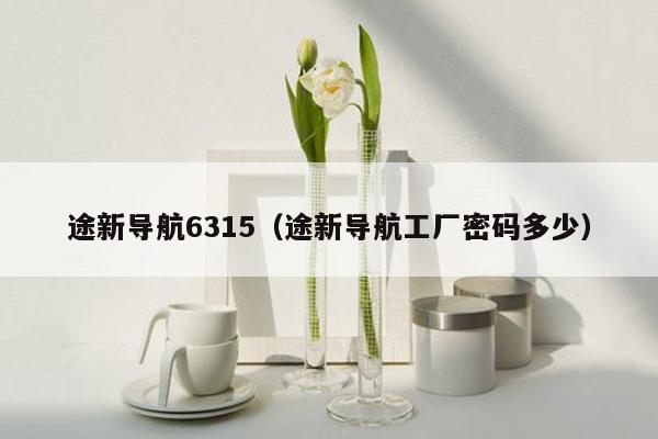 途新导航6315（途新导航工厂密码多少）