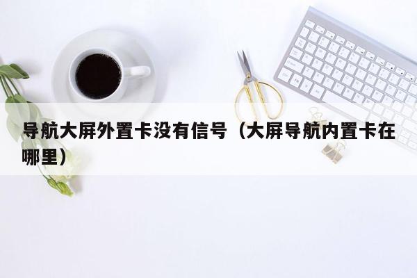 导航大屏外置卡没有信号（大屏导航内置卡在哪里）