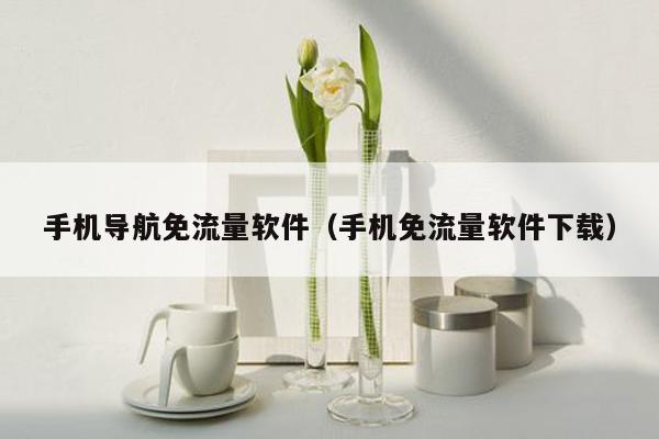 手机导航免流量软件（手机免流量软件下载）