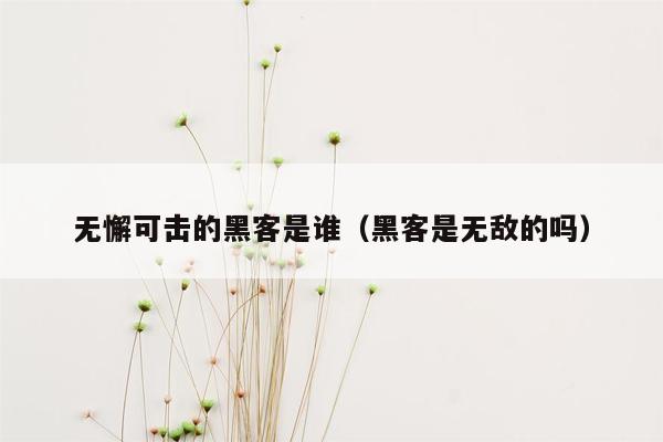 无懈可击的黑客是谁（黑客是无敌的吗）