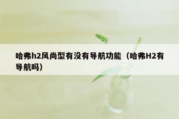 哈弗h2风尚型有没有导航功能（哈弗H2有导航吗）
