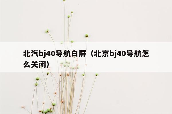 北汽bj40导航白屏（北京bj40导航怎么关闭）