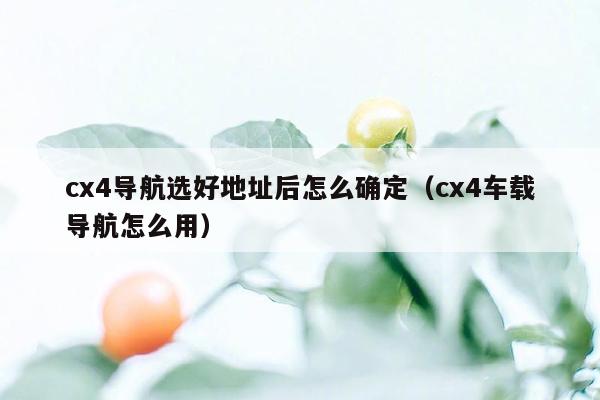 cx4导航选好地址后怎么确定（cx4车载导航怎么用）