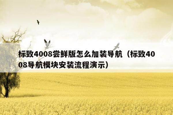 标致4008尝鲜版怎么加装导航（标致4008导航模块安装流程演示）