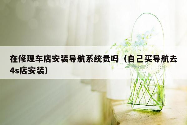 在修理车店安装导航系统贵吗（自己买导航去4s店安装）