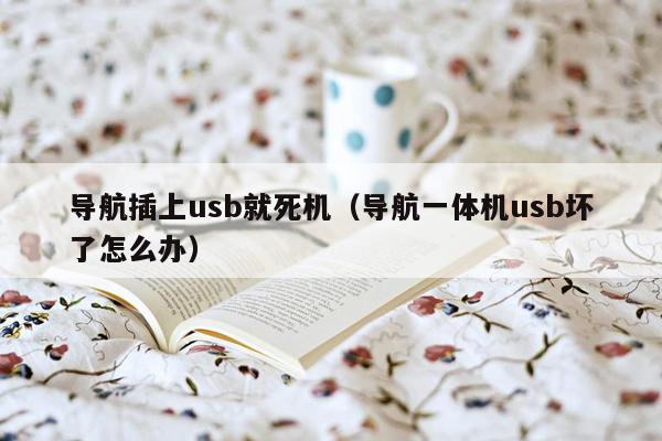 导航插上usb就死机（导航一体机usb坏了怎么办）