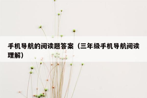 手机导航的阅读题答案（三年级手机导航阅读理解）