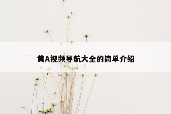 黄A视频导航大全的简单介绍